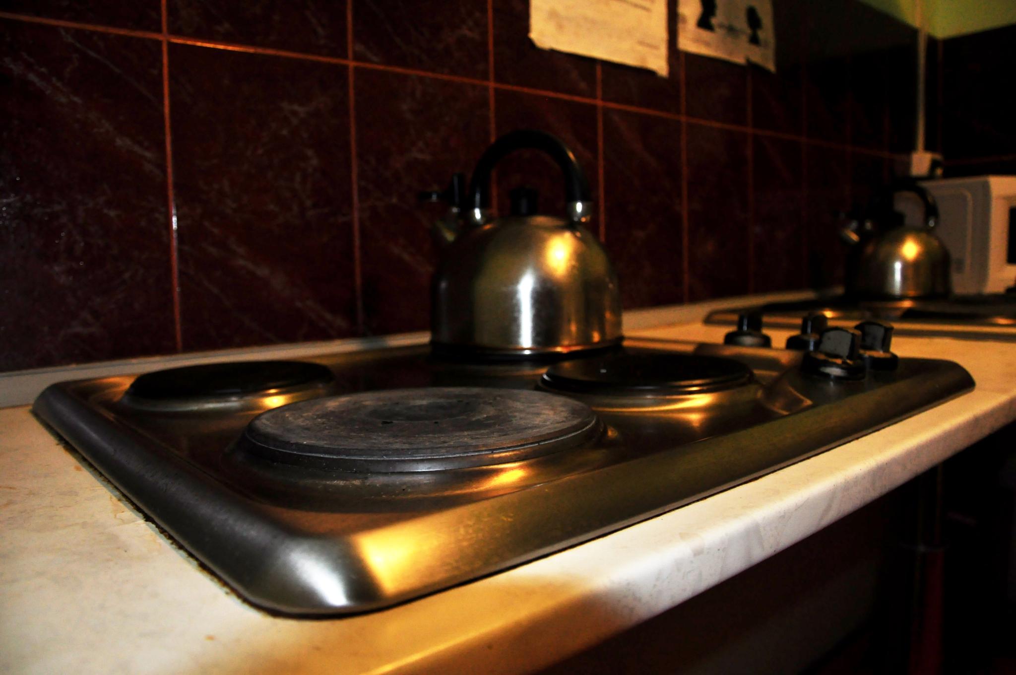 Фото Вежливый Лось на Ботаническом саду