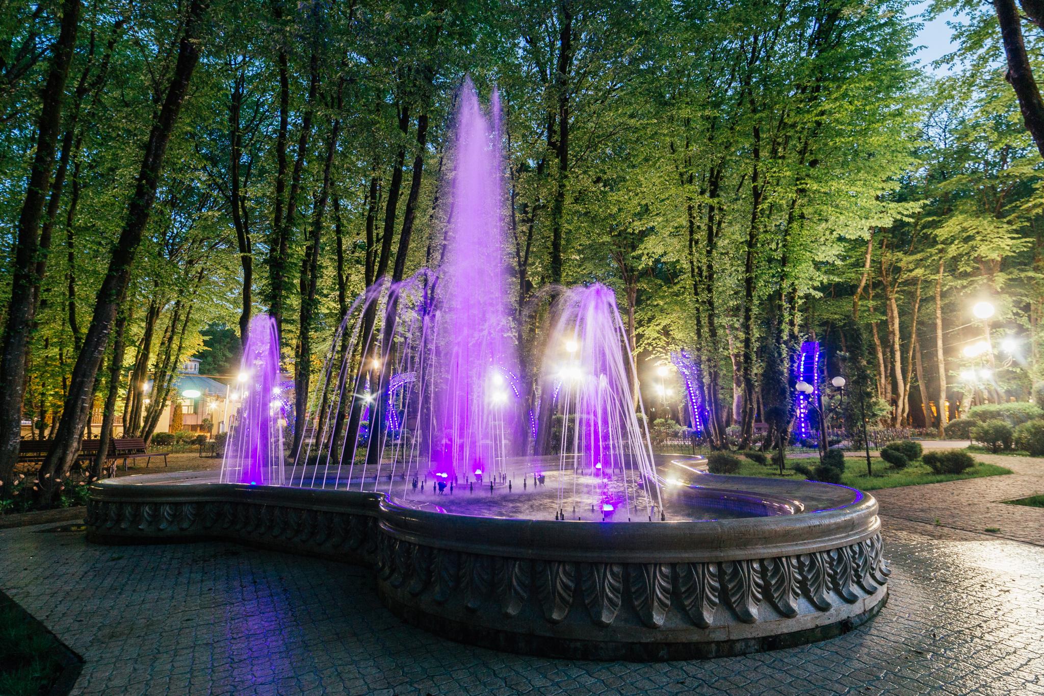 Фото Лесная поляна