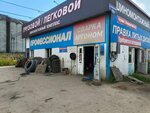 Профессионал (Vasiliya Vasilyeva Street, 25А), tire service