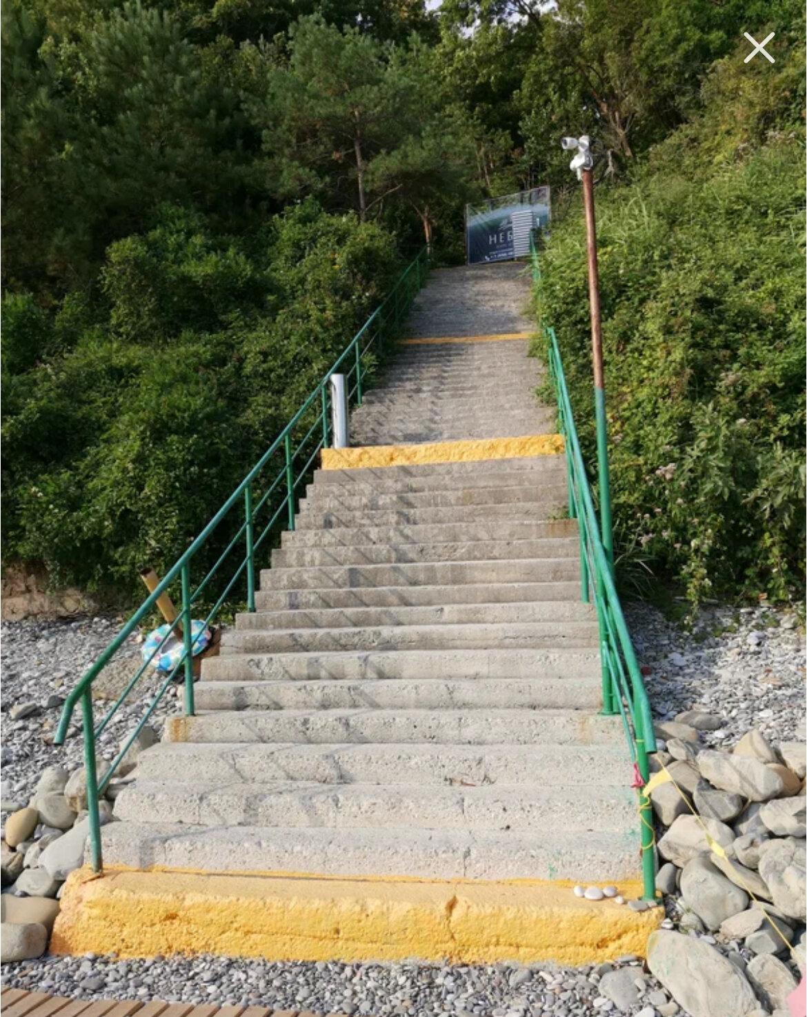 Фото Парк отель Небуг