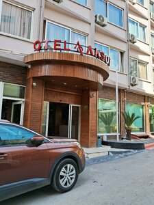 Aksoy Hotel (Adana, Seyhan, Tepebag Neighborhood, 27004th Street, 1A), hotel