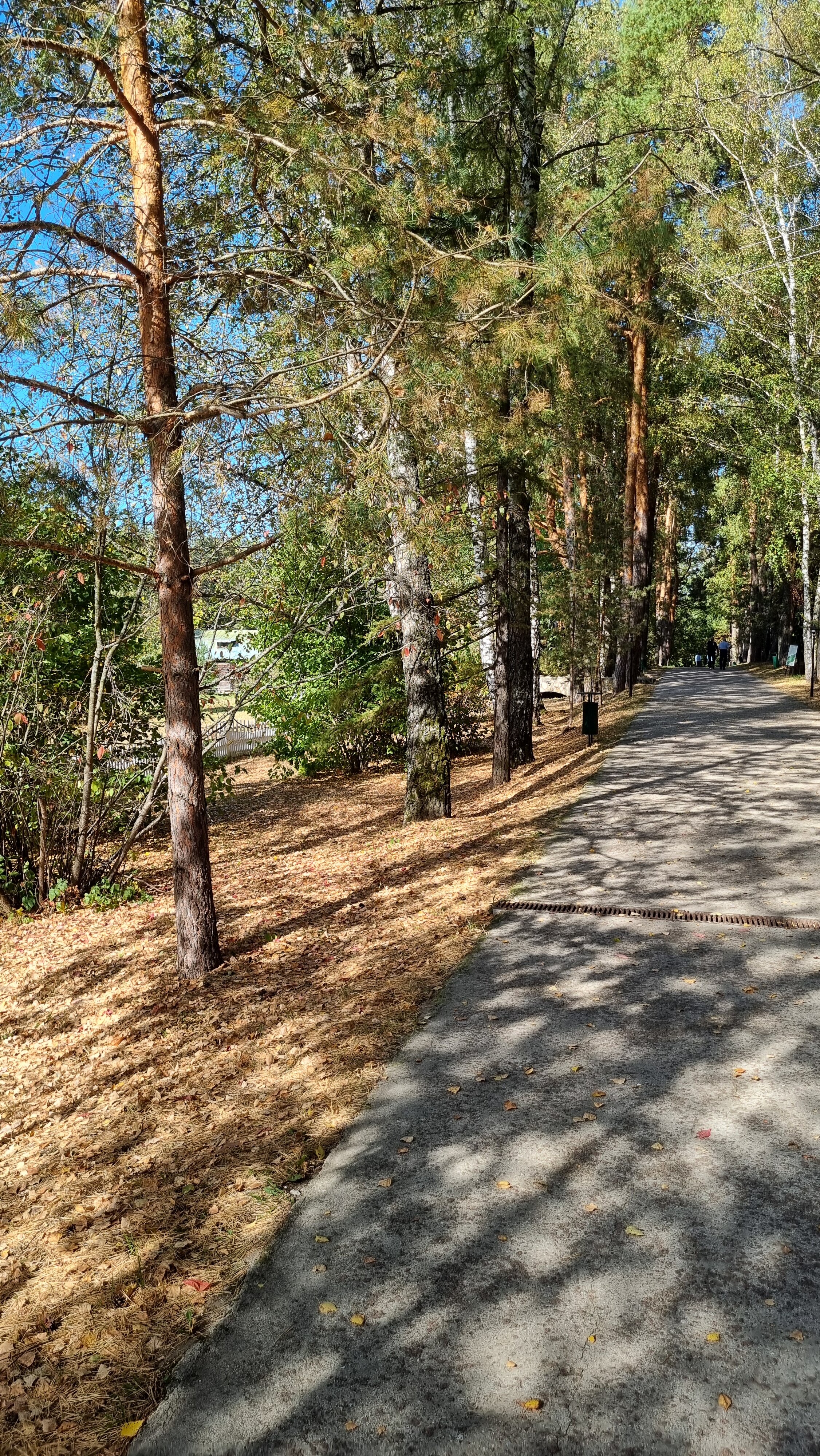 Фото Тцпио Экспедиция