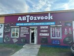 АВТОzvook (Botanicheskaya ulitsa, 35А) ، صوتيات السيارة