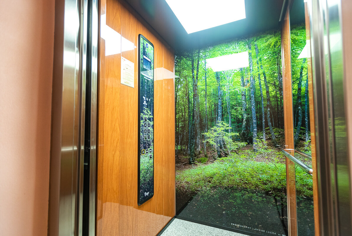 Фото Берлога