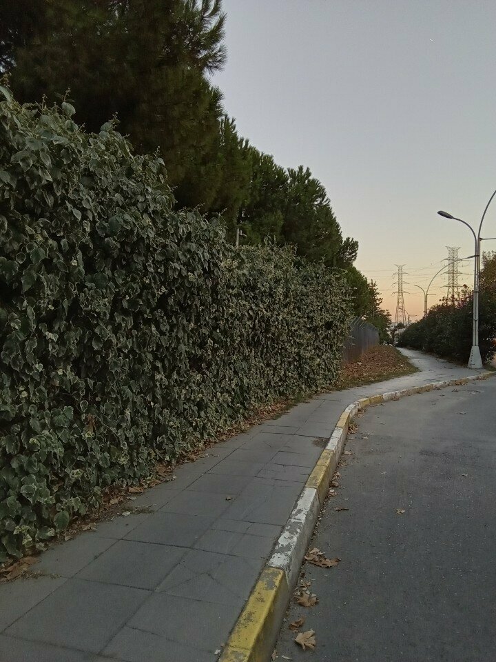 ATM Ing ATM, Istanbul, photo