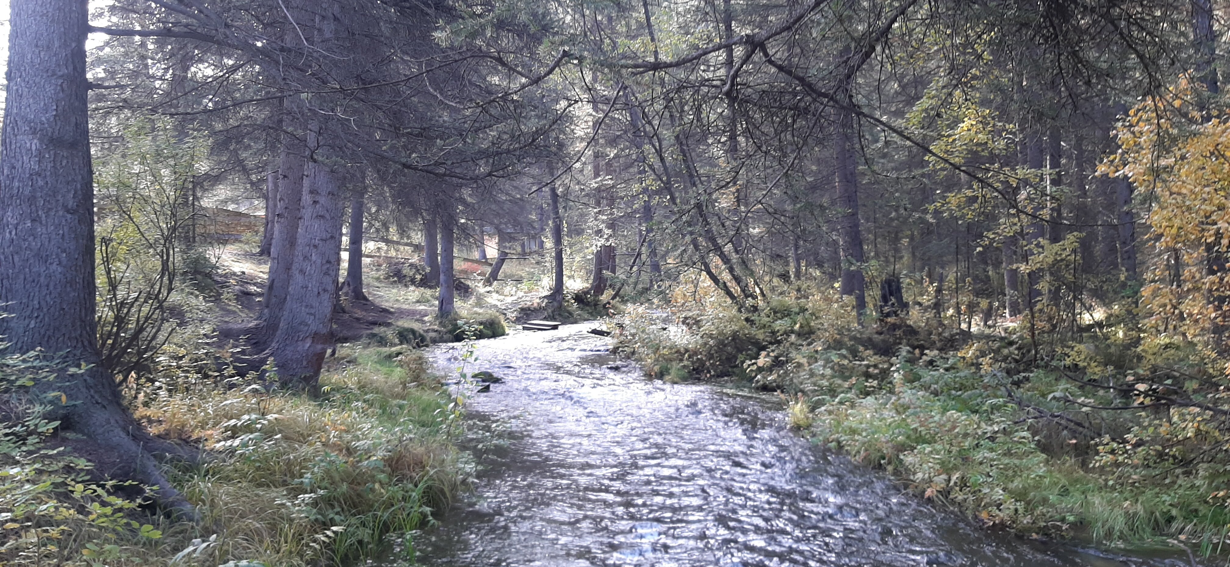 Фото Aktash Village