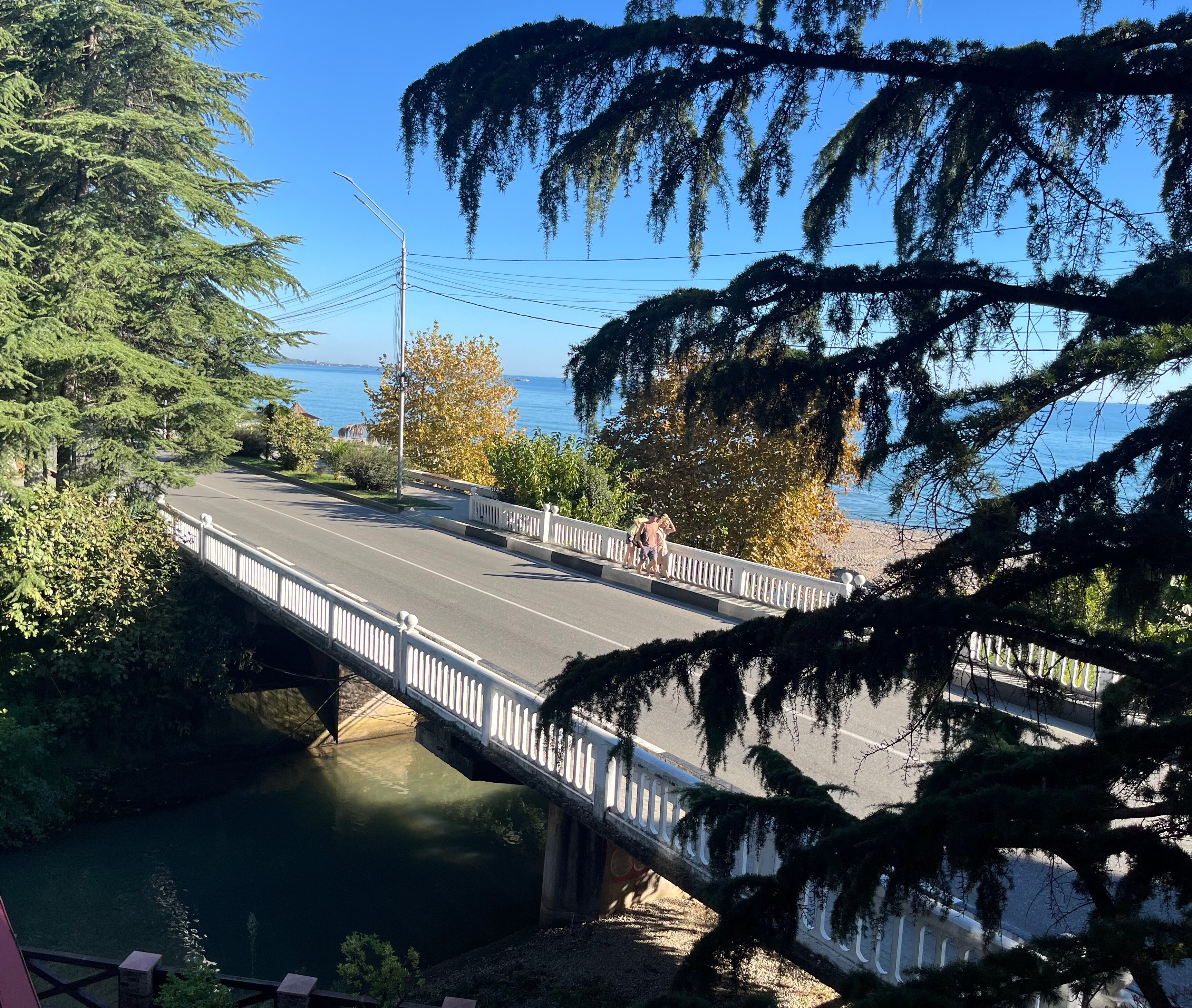 Фото Курортный отель Афон