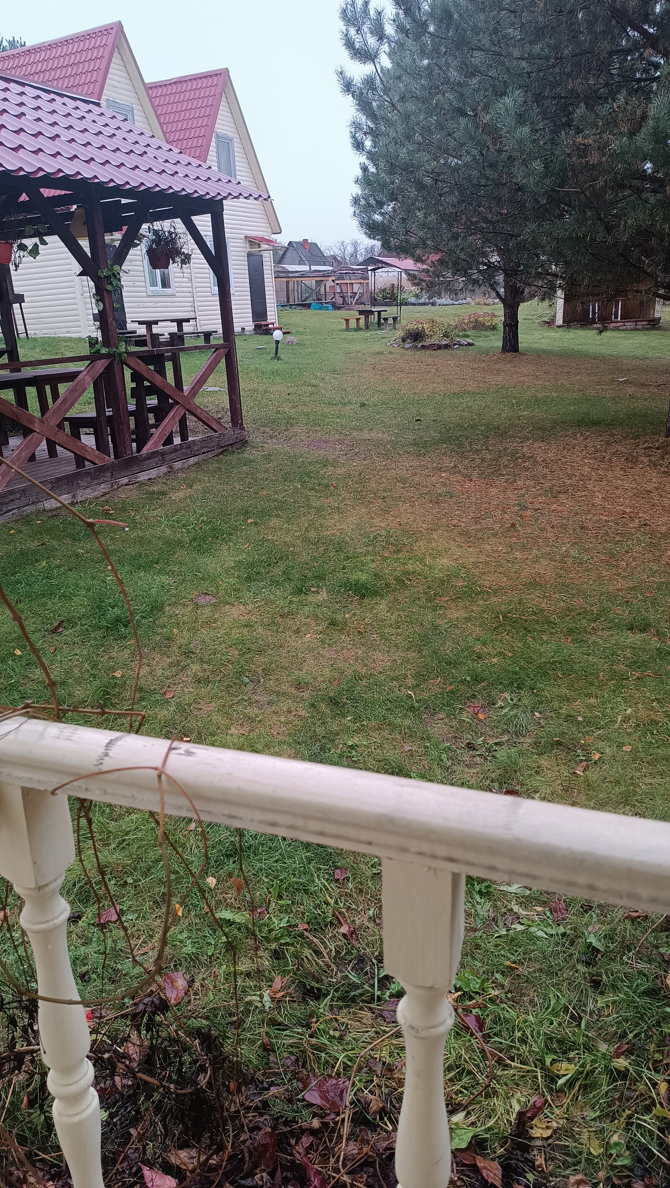 Фото Дункан