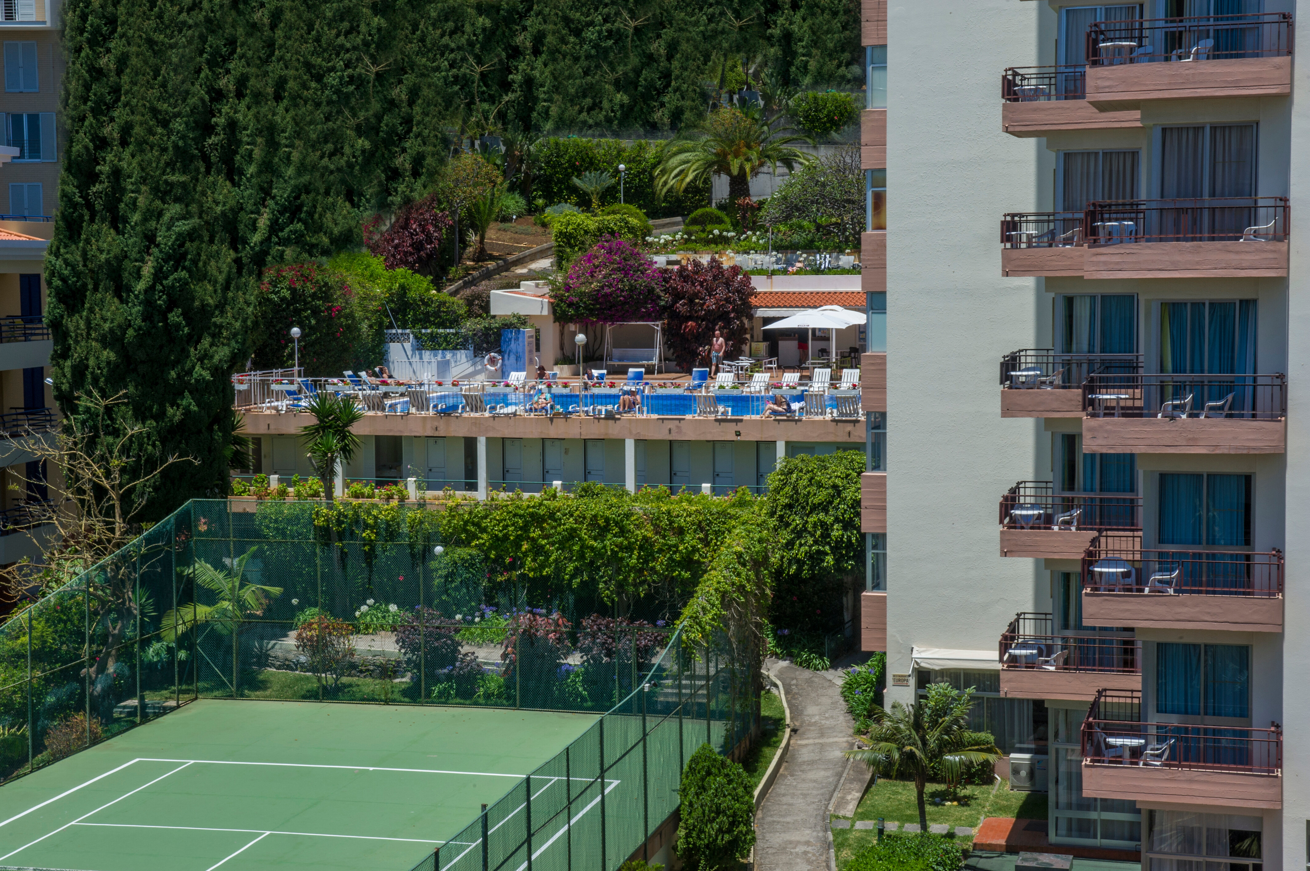 Фото Dorisol Buganvilia 