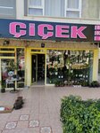 Gur Floristry (Ankara Province, Kecioren District, Yunus Emre Cad., 45), floristeria