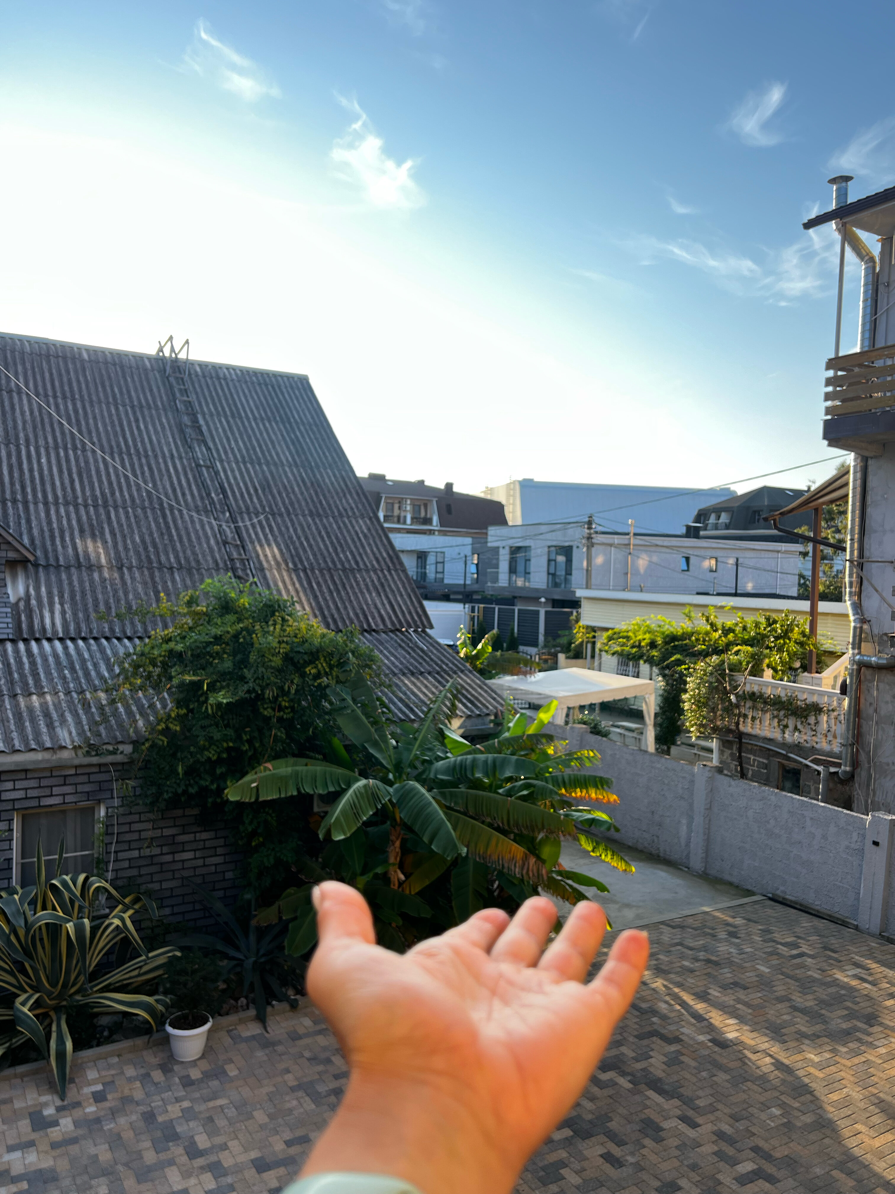 Фото Солнечный дворик