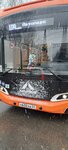 Сосновка (selo Sosnovka, Naberezhnaya ulitsa, 1А/1), parada de transporte público