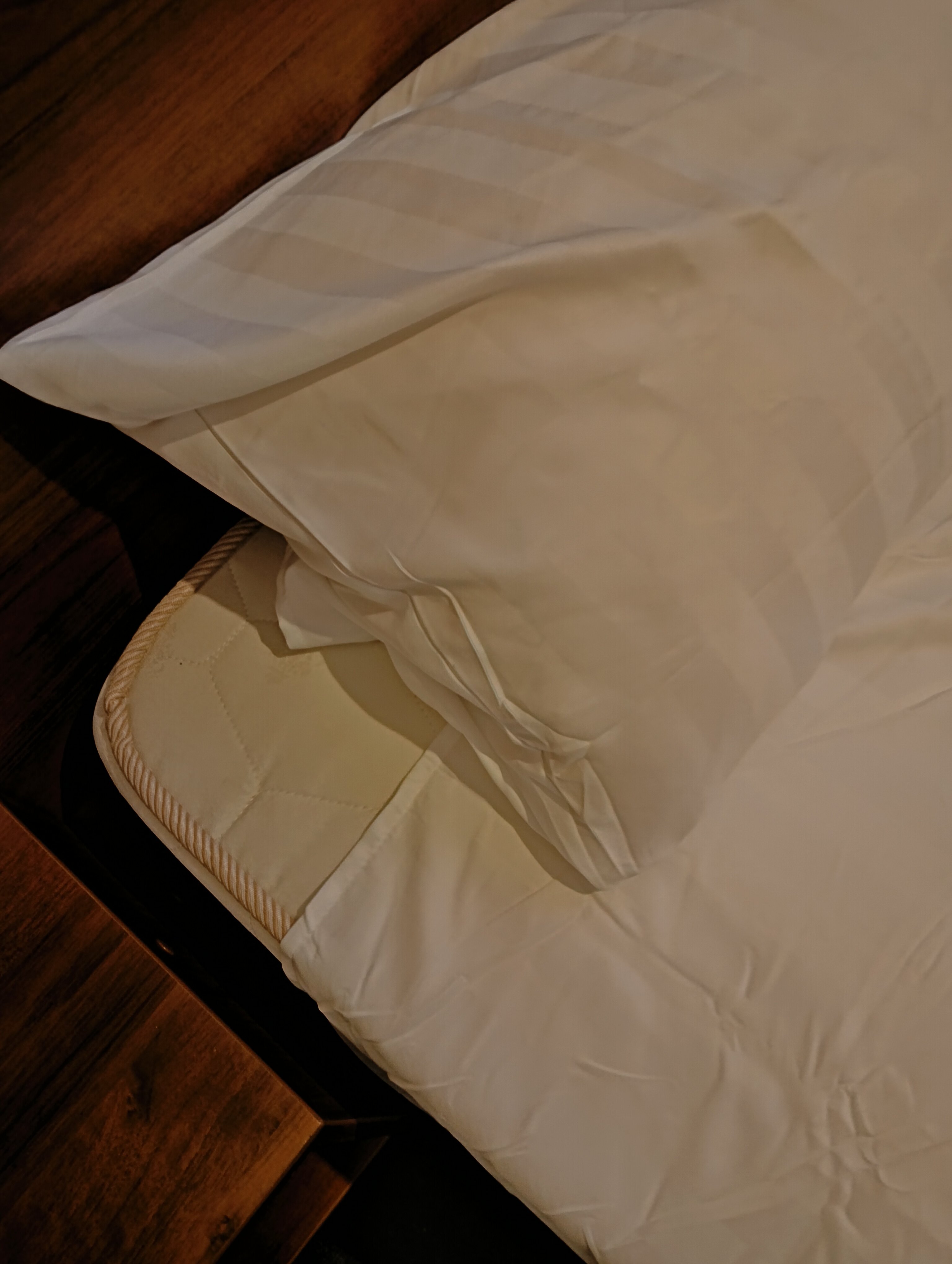 Фото Аристократ