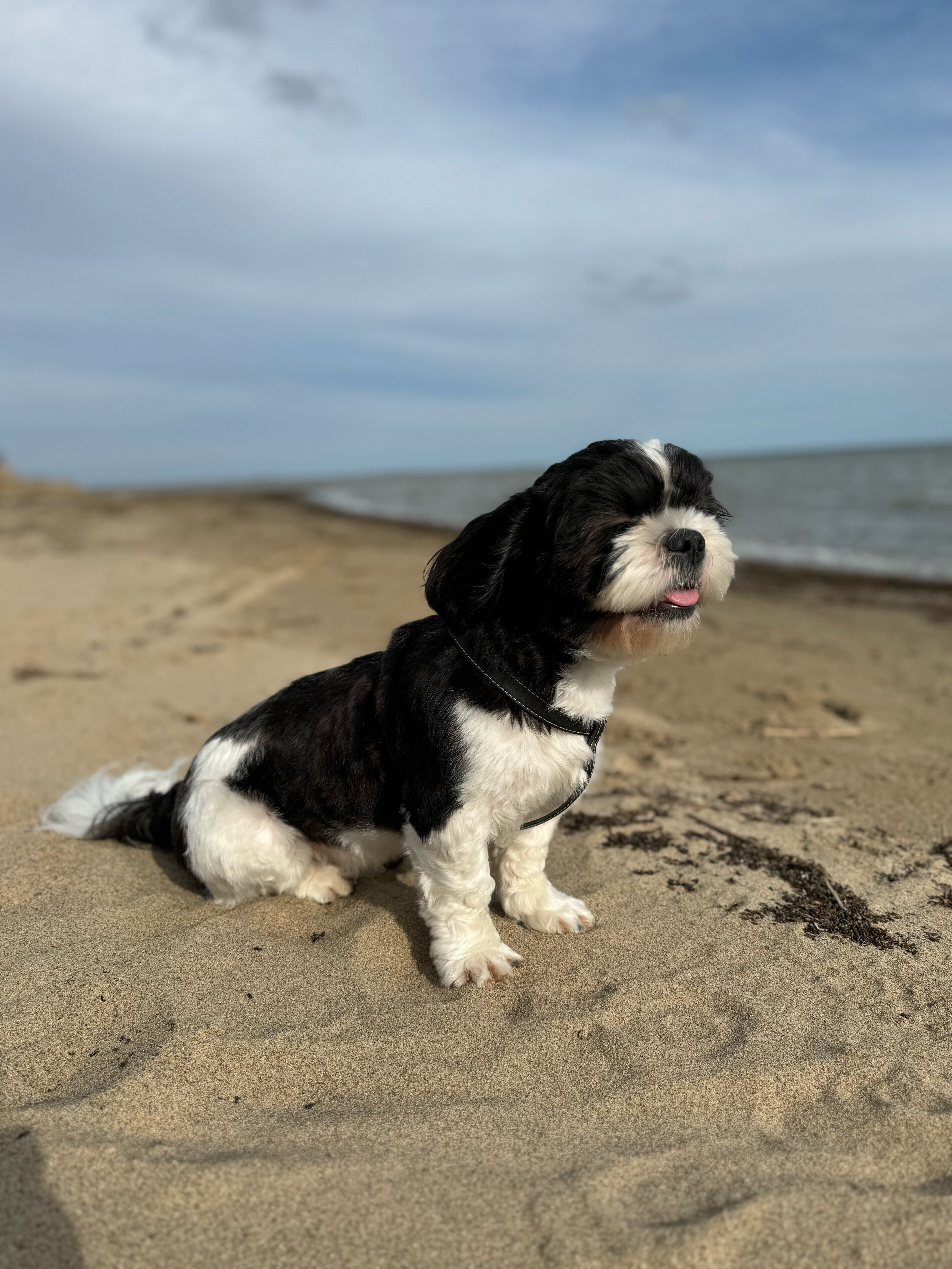 Фото Славянская усадьба