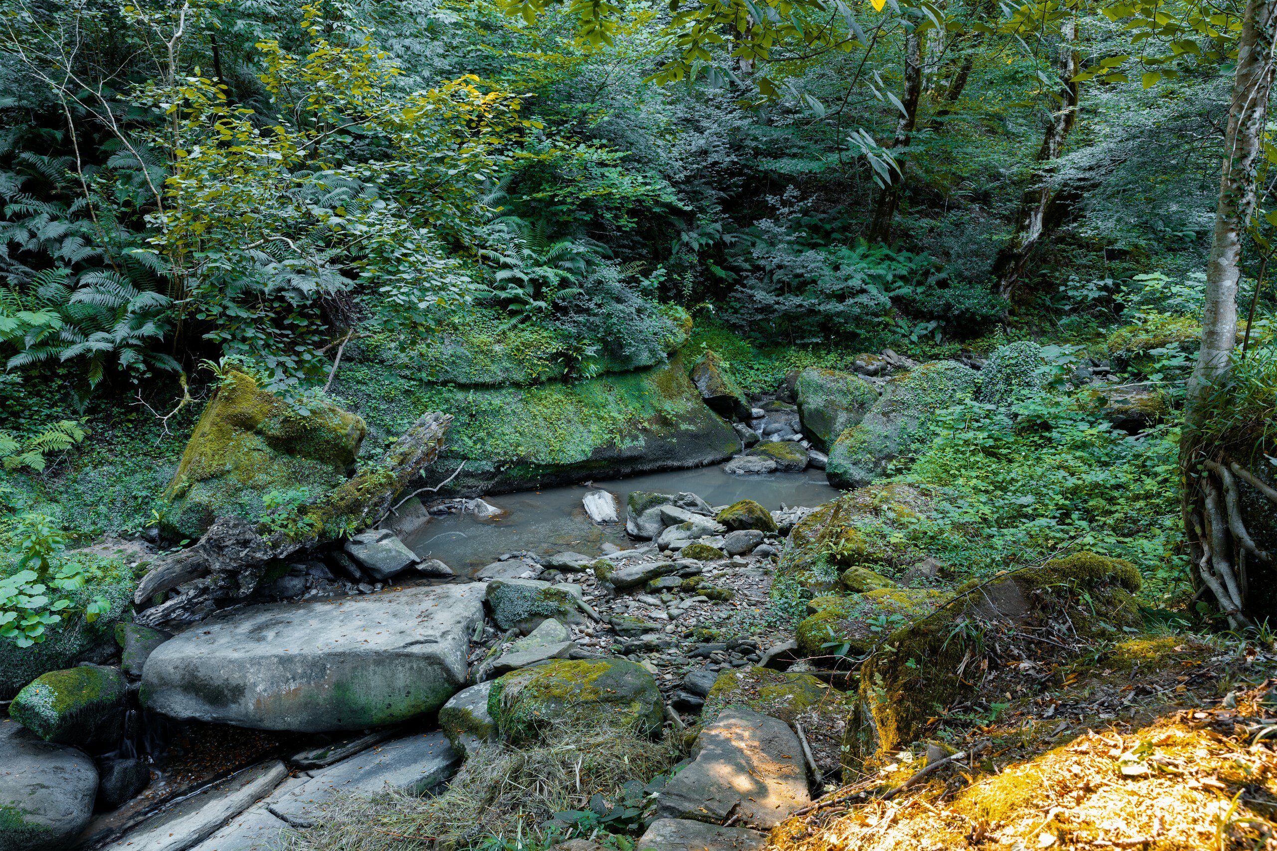 Фото Коттедж Lipniki