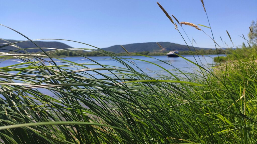 Beach Пляж, Samara Oblast, photo