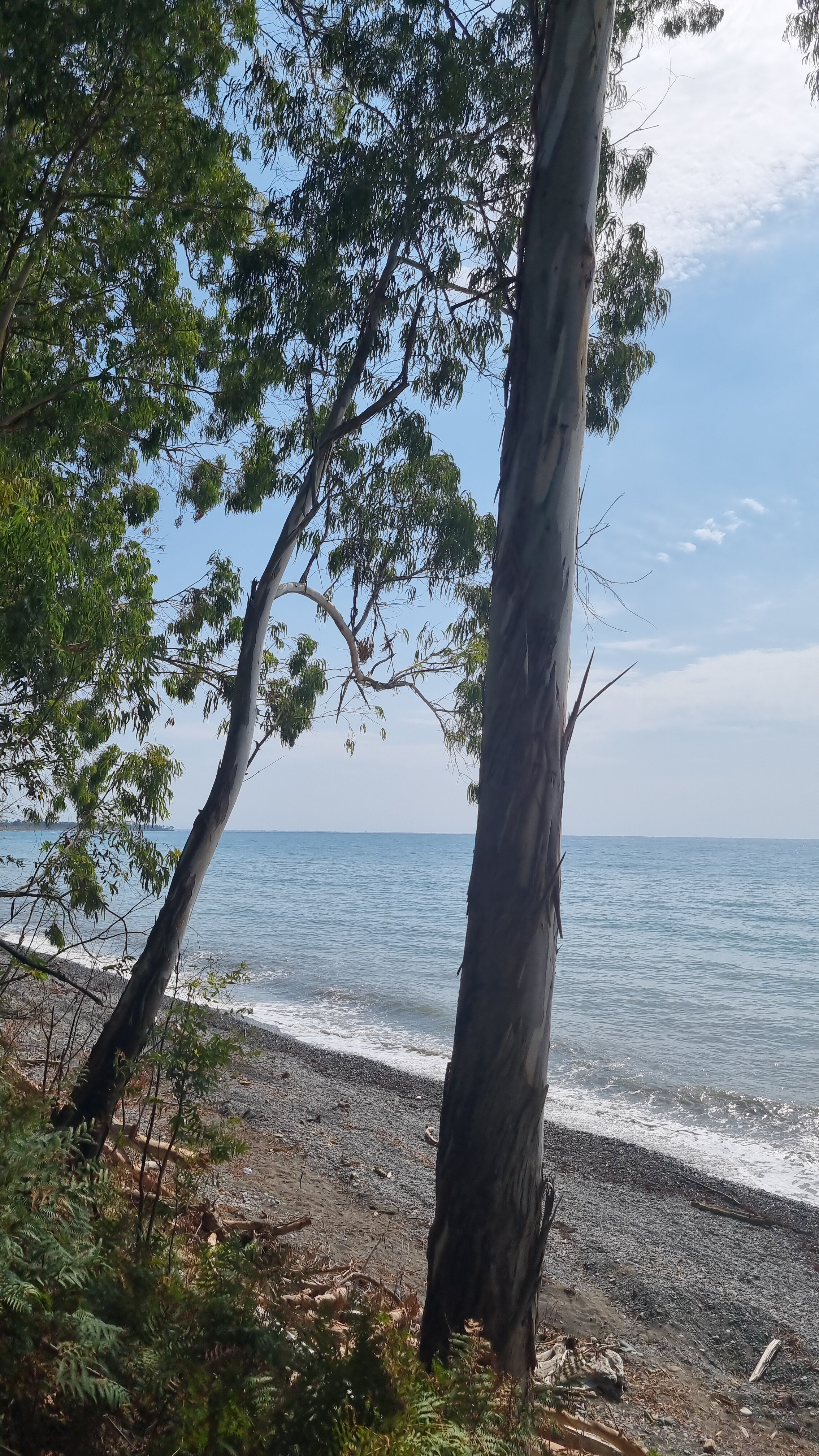 Фото Чапагуа