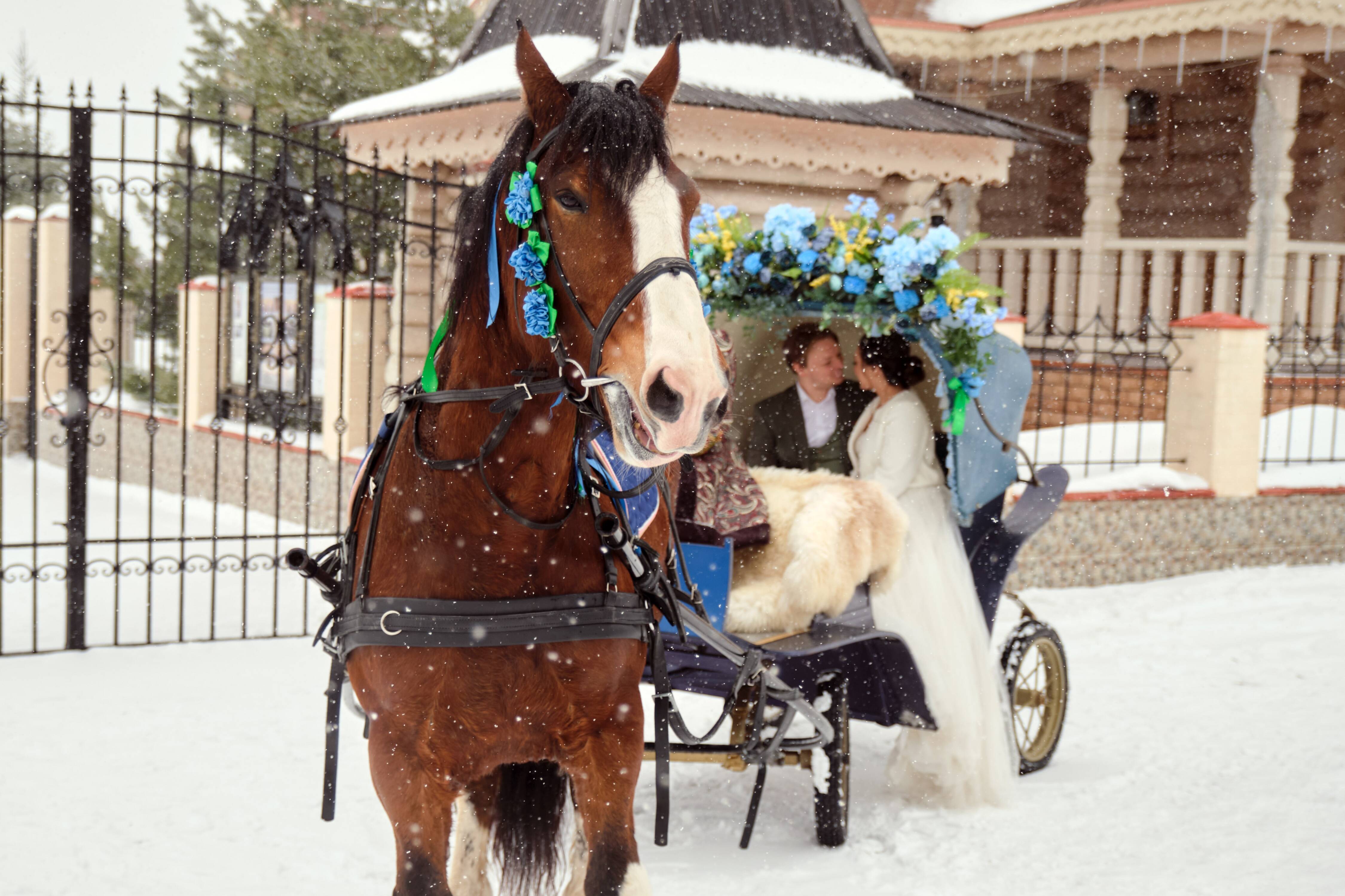 Фото Усадьба Бушарино