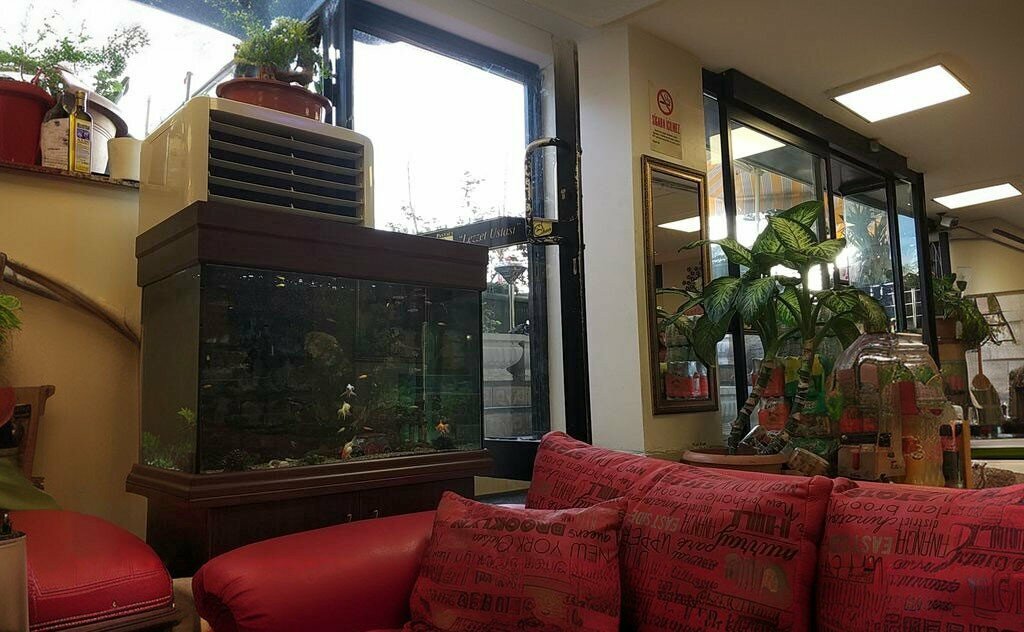 Confectionary Pastry Chef Cihan, Alapli, photo