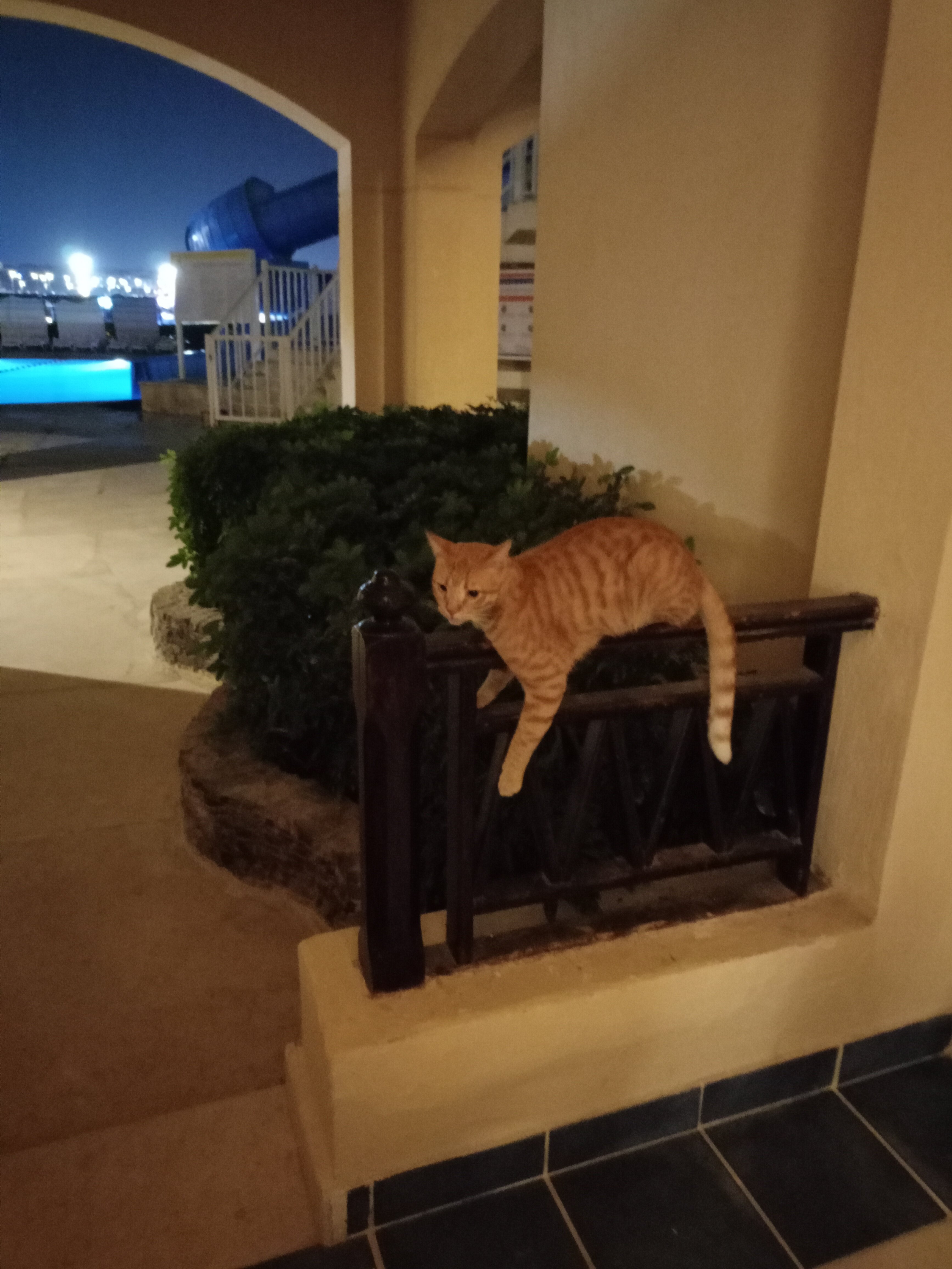 Фото Sunny Days El Palacio Resort & SPA