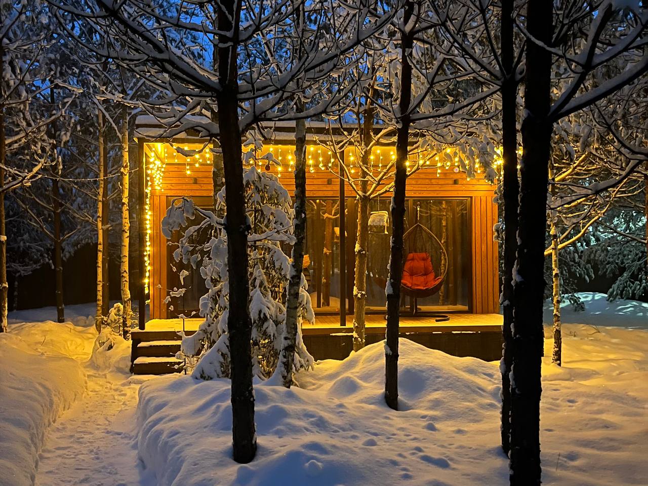 Фото Skazka в лесу