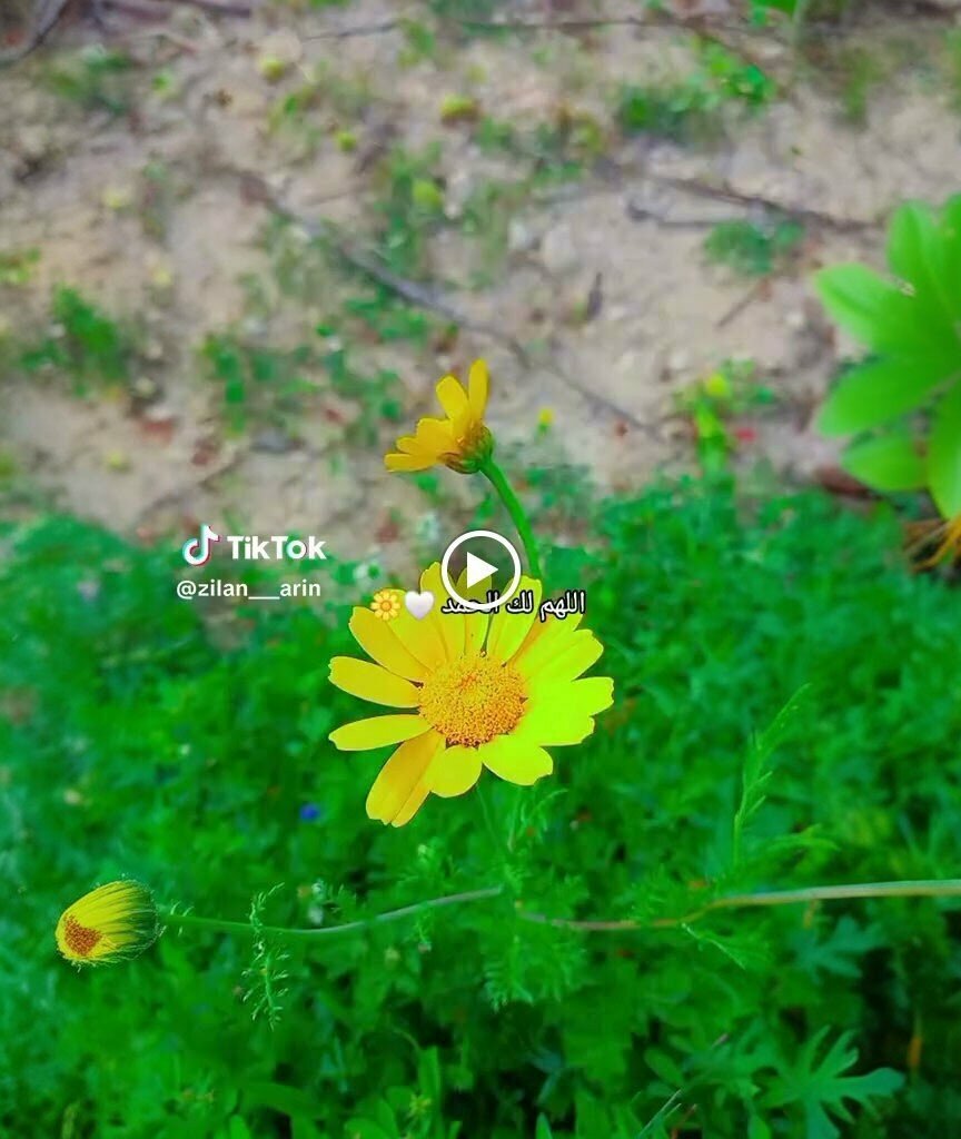 School Imamoglu Imam Hatip Secondary School, Imamoglu, photo