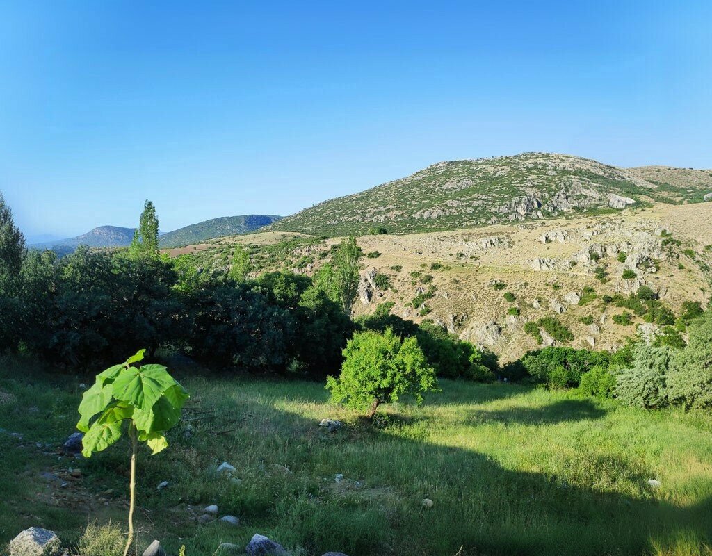 Museum Barla Bediuzzaman Said i Nursi Evi, Egirdir, photo