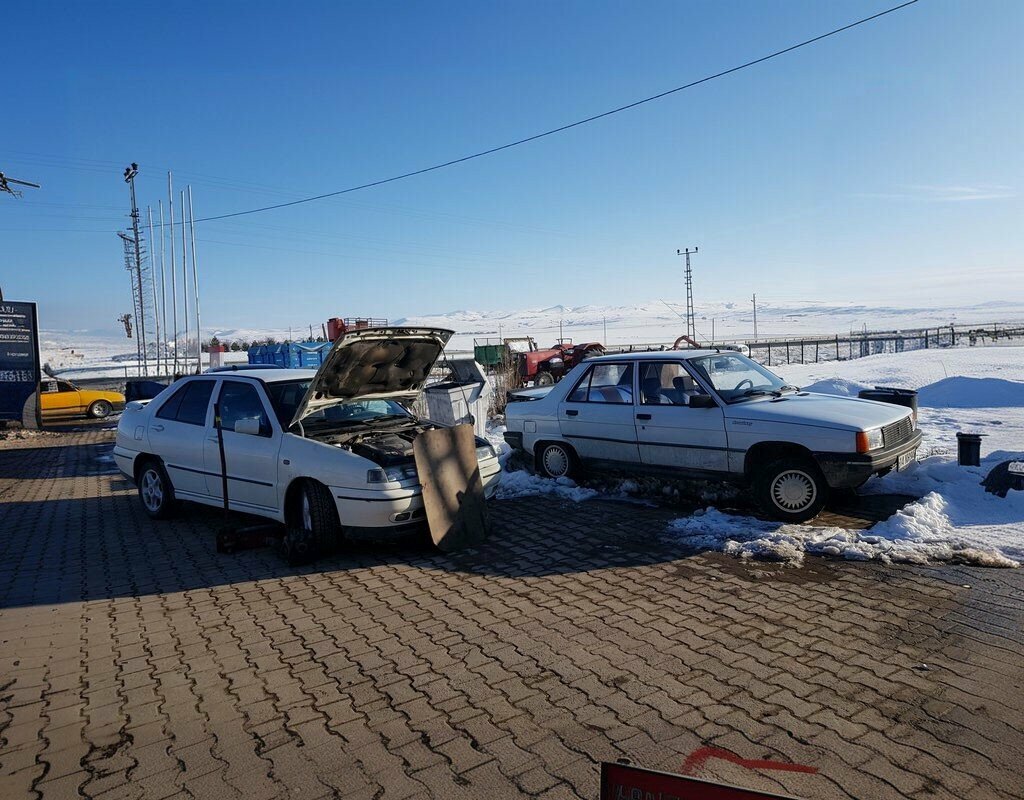 Car service, auto repair Palas Auto Oktay Master, Sarioglan, photo