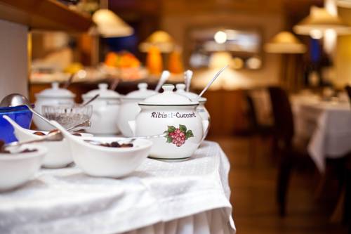 Фото Rosa Canina