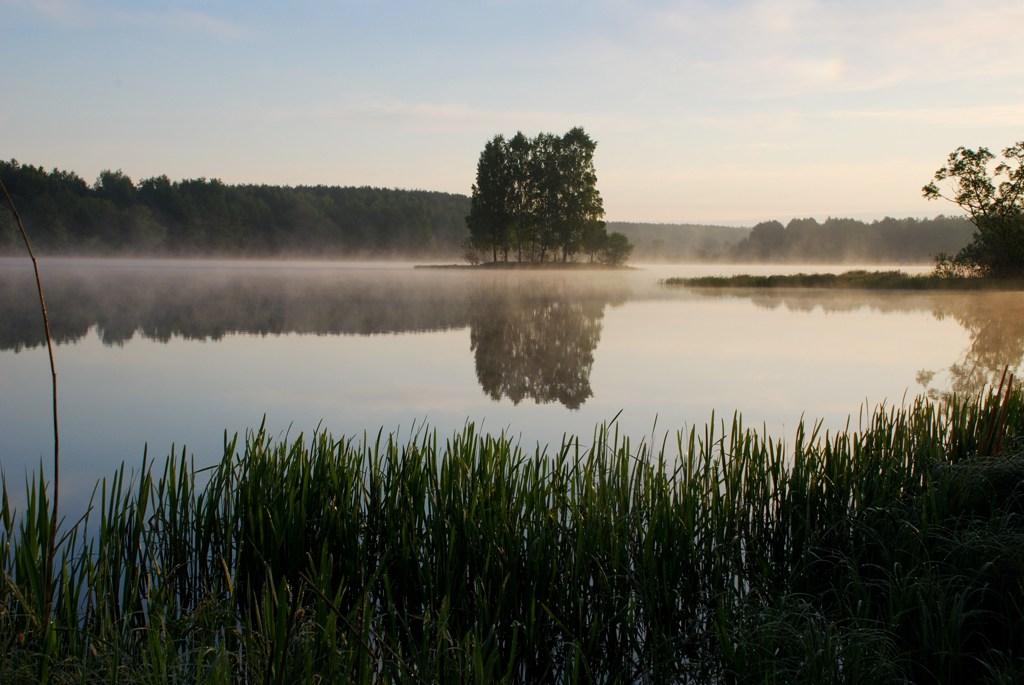 Фото Янтарная