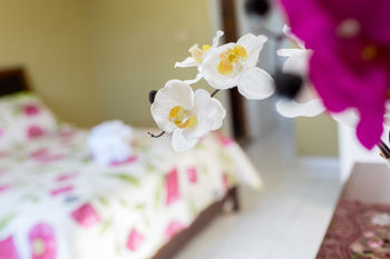 Фото New Kingston Guest Apartment V