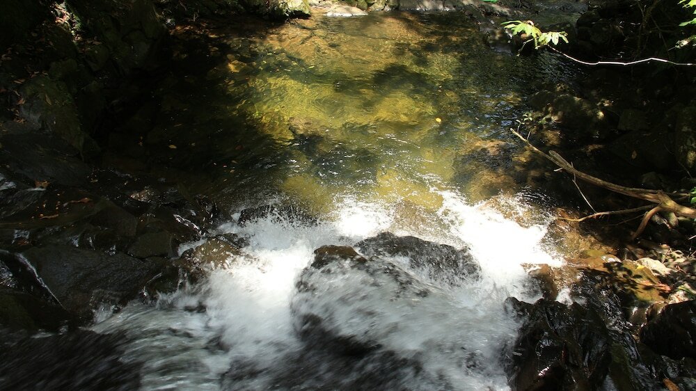 Фото Junglez Eco Hostel