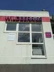 Wildberries (Bogdana Khmelnitskogo Avenue, 156), point of delivery