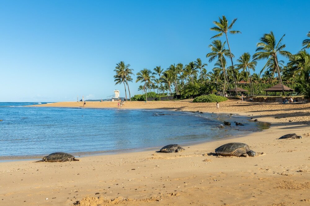 Фото Hale Kahana'lu 2 Bedroom Condo