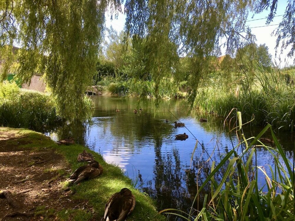Фото Idyllic Riverside Cottage in Dorset
