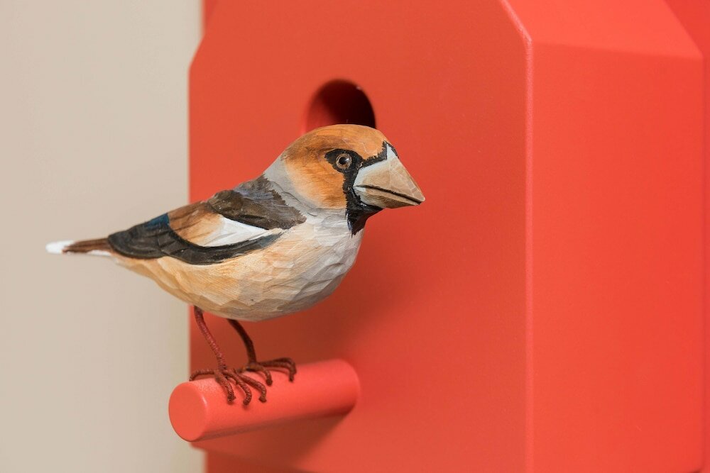 Фото Hotel & Tafernwirtschaft zum Fischer