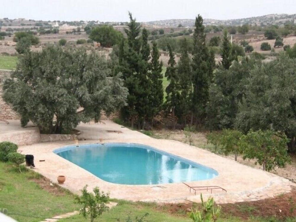 Фото Douar des Oliviers