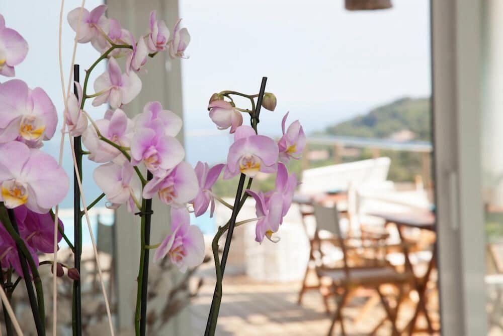 Фото Es Cel de Begur Hotel