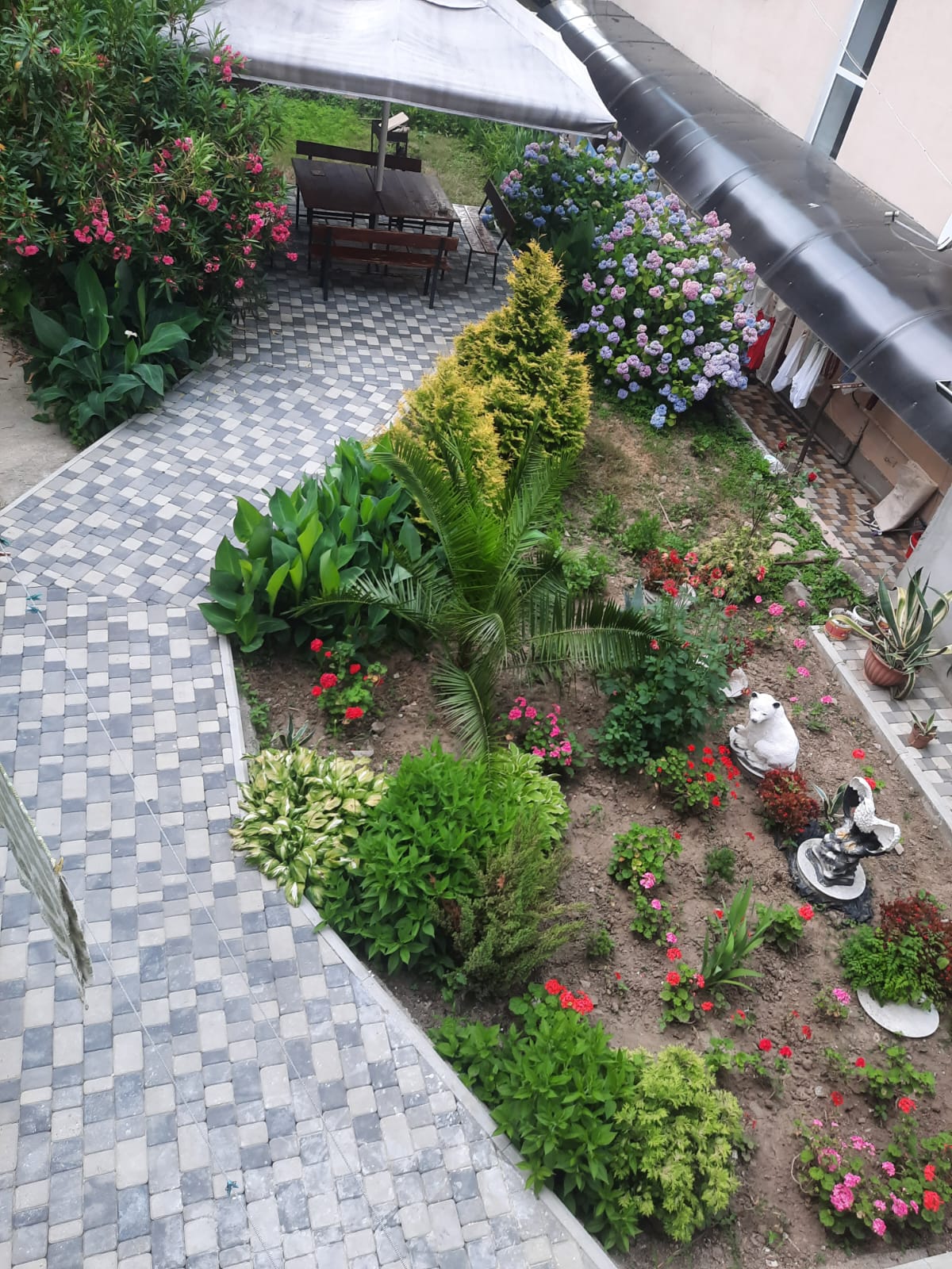 Фото у Нателлы