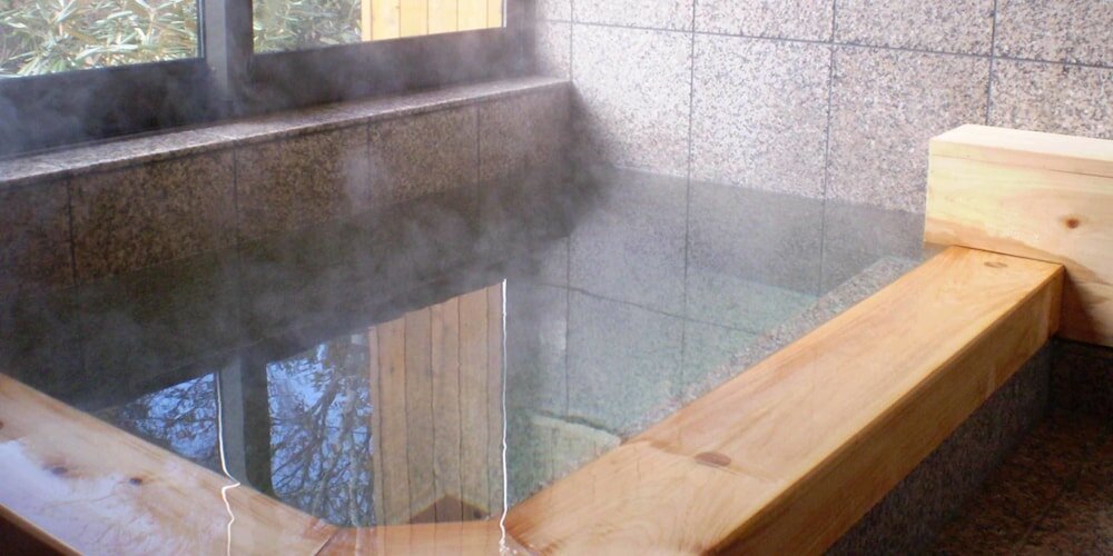 Фото Pension Vent Vert