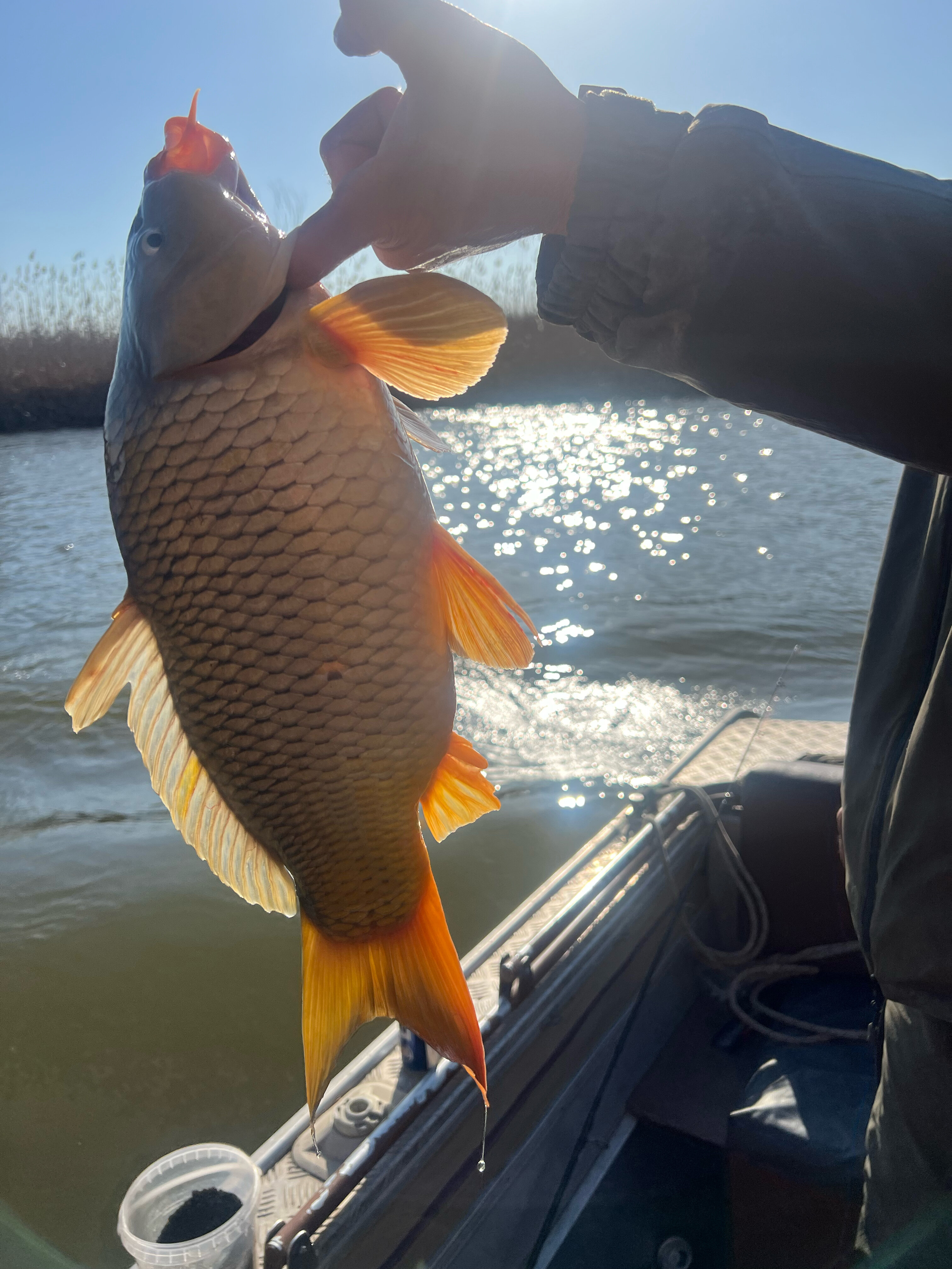 Фото Блесна