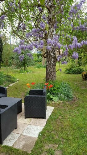 Гостиница Chambre du Jardin Fleuri