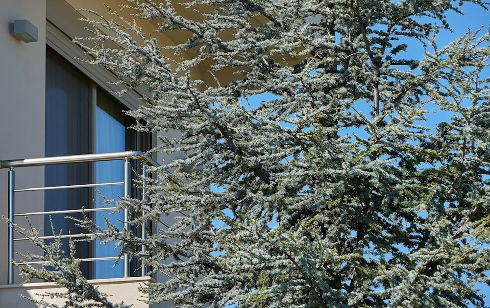 Фото Villa Evergreen