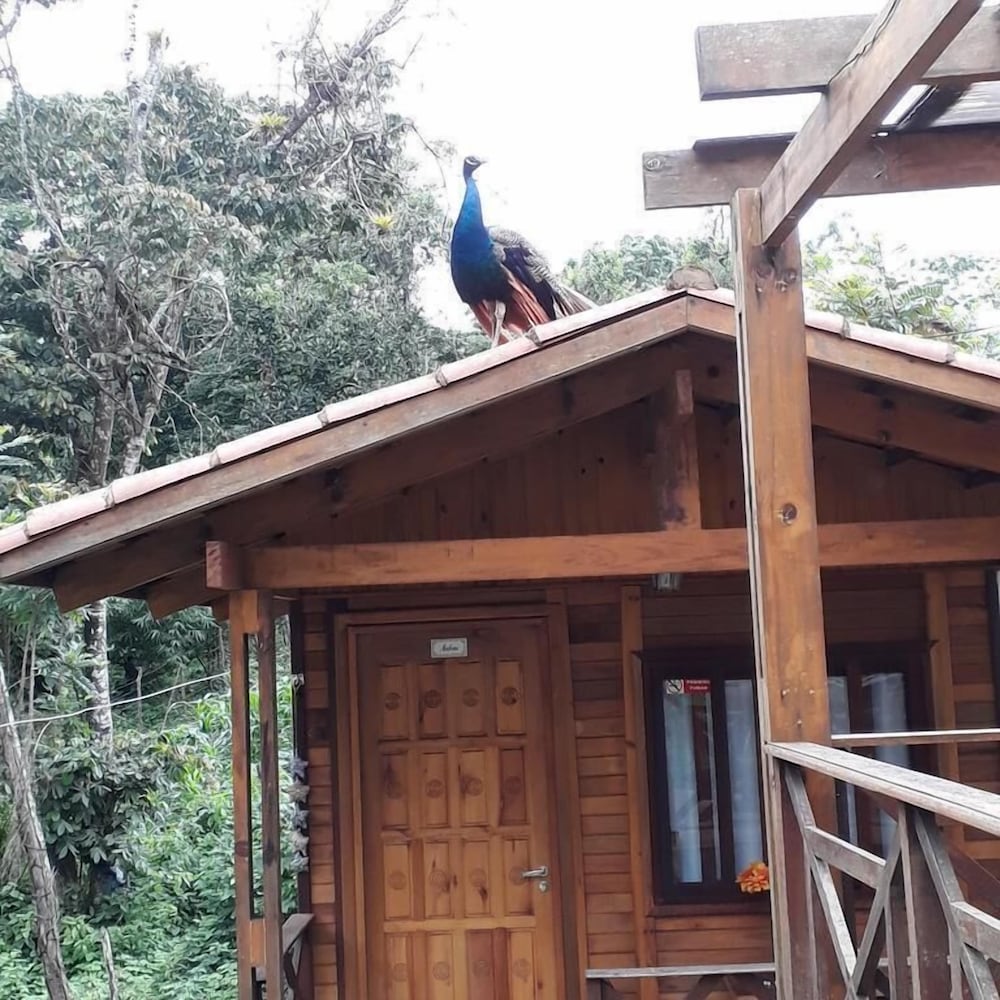 Фото Chalés Monte Suíço