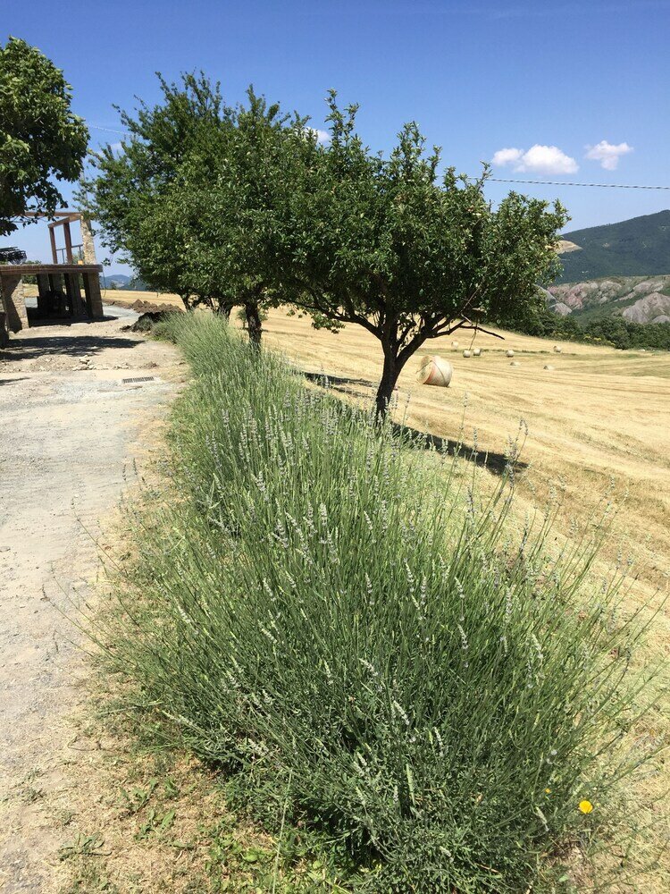 Фото Tenuta Cà di Bertucci