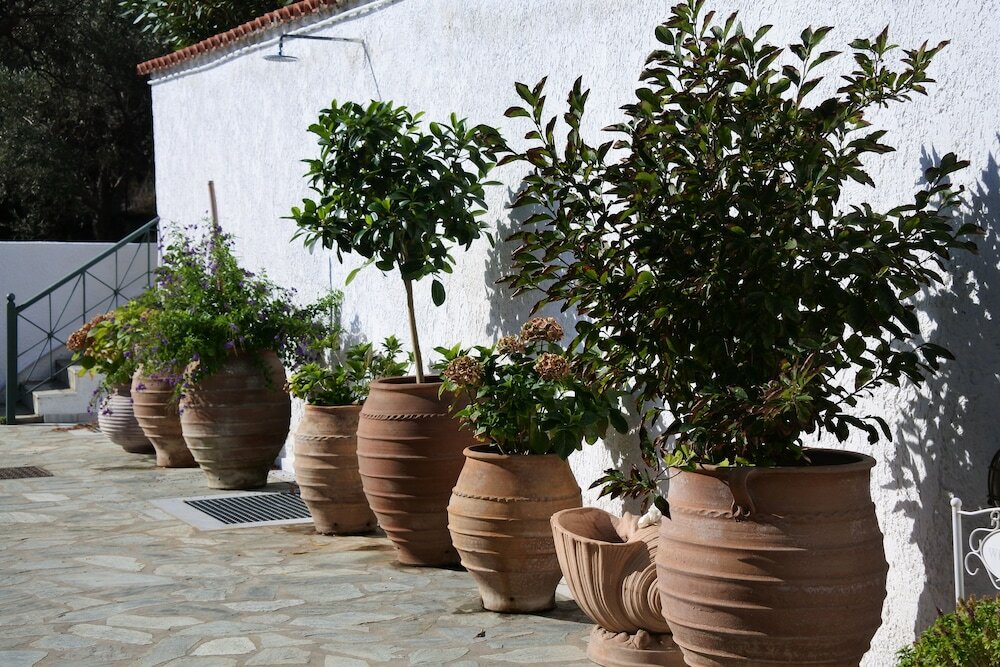 Фото Nina's House