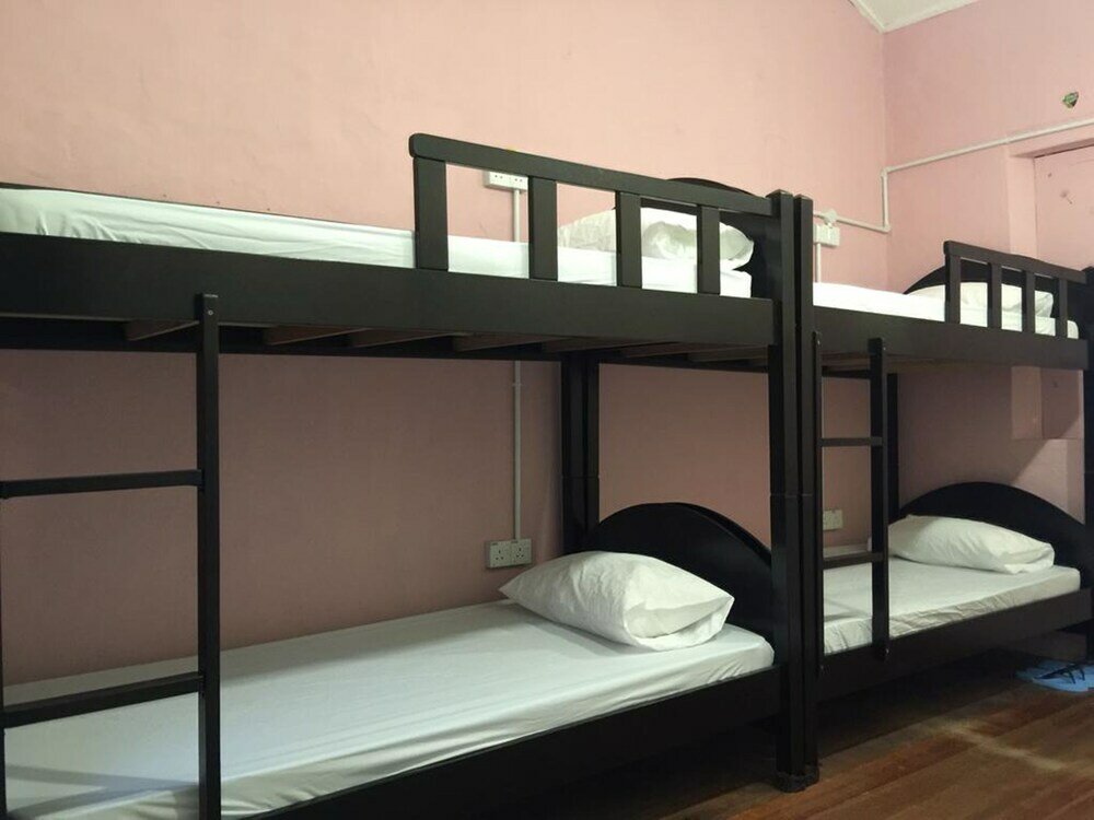 Фото Cookoobird Home - Hostel