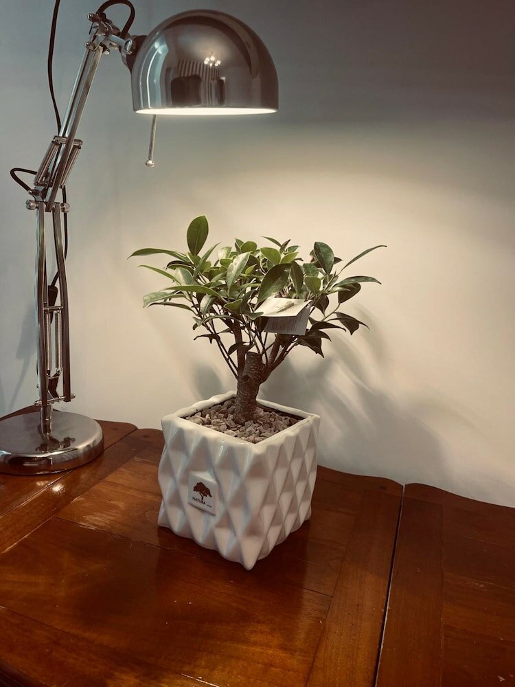 Фото Villa Durante