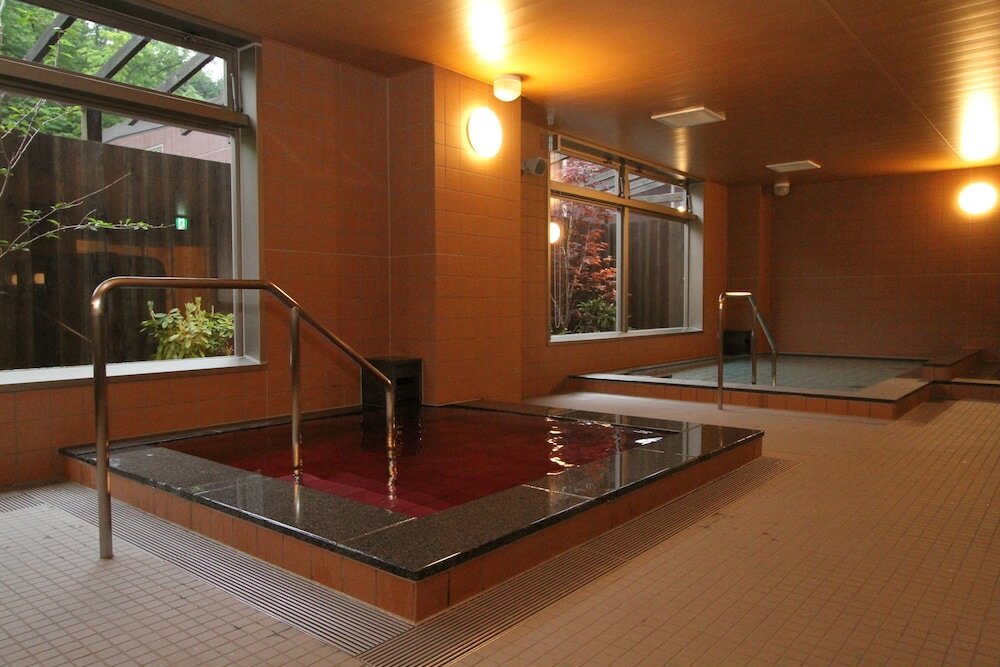 Фото Fujizakura Hotel