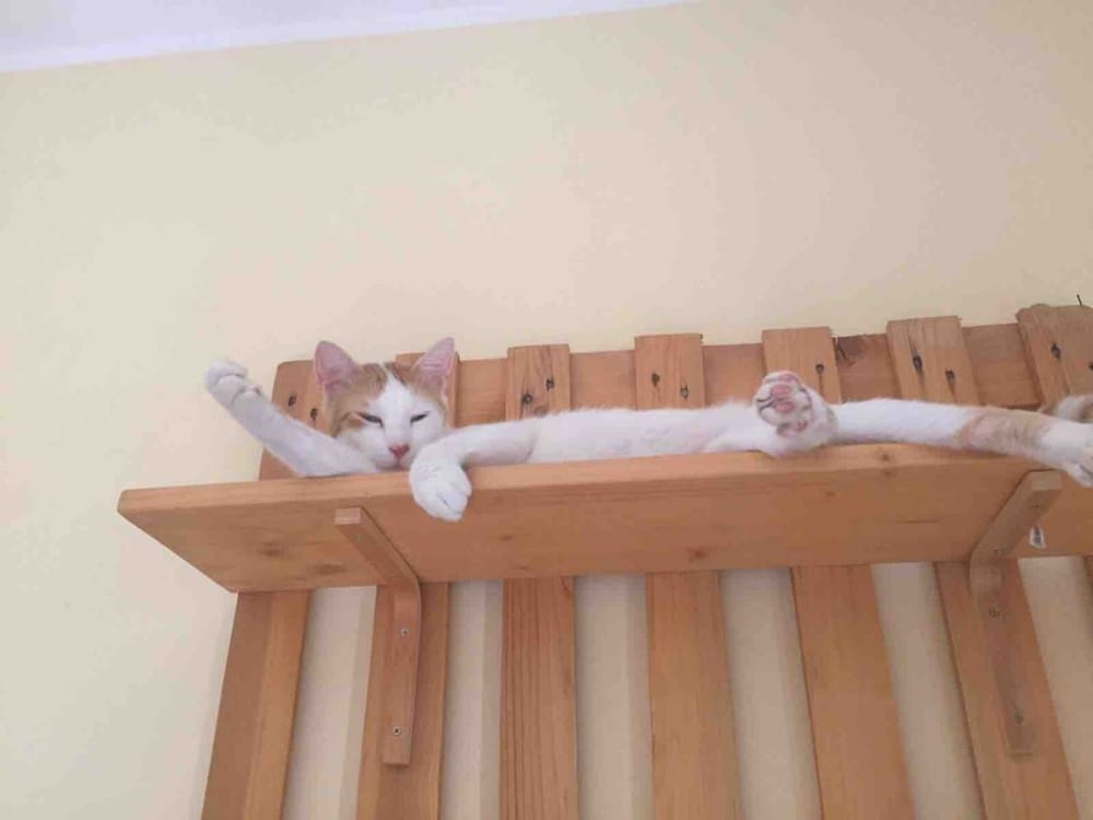 Фото B&b Casa ZinnOni